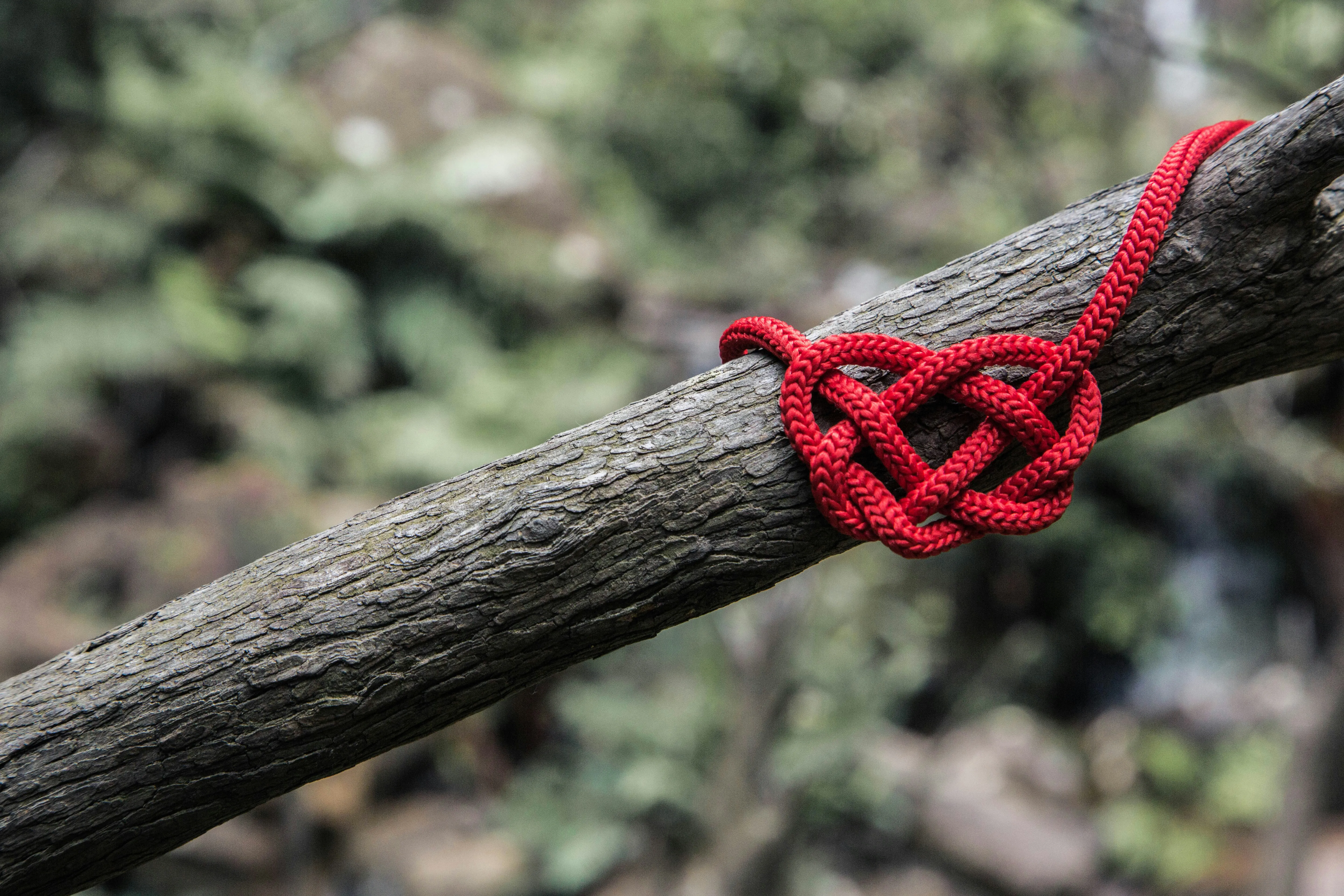Red Heart Knot on Wooden Stick Symbol of Deep Love
