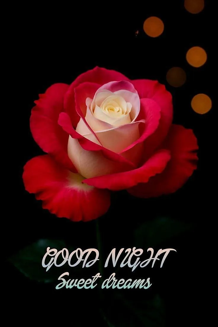 Red Rose and Candle with Deep Night Thought Wallpaper