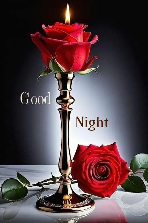 Red Rose and Glass Bottle with Good Night Text Wallpaper