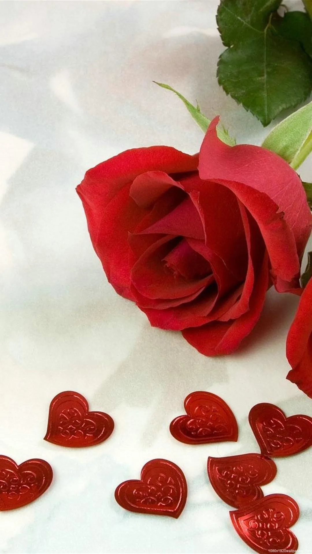 Red Rose and Petals Showing Deep Romantic Emotion Wallpaper