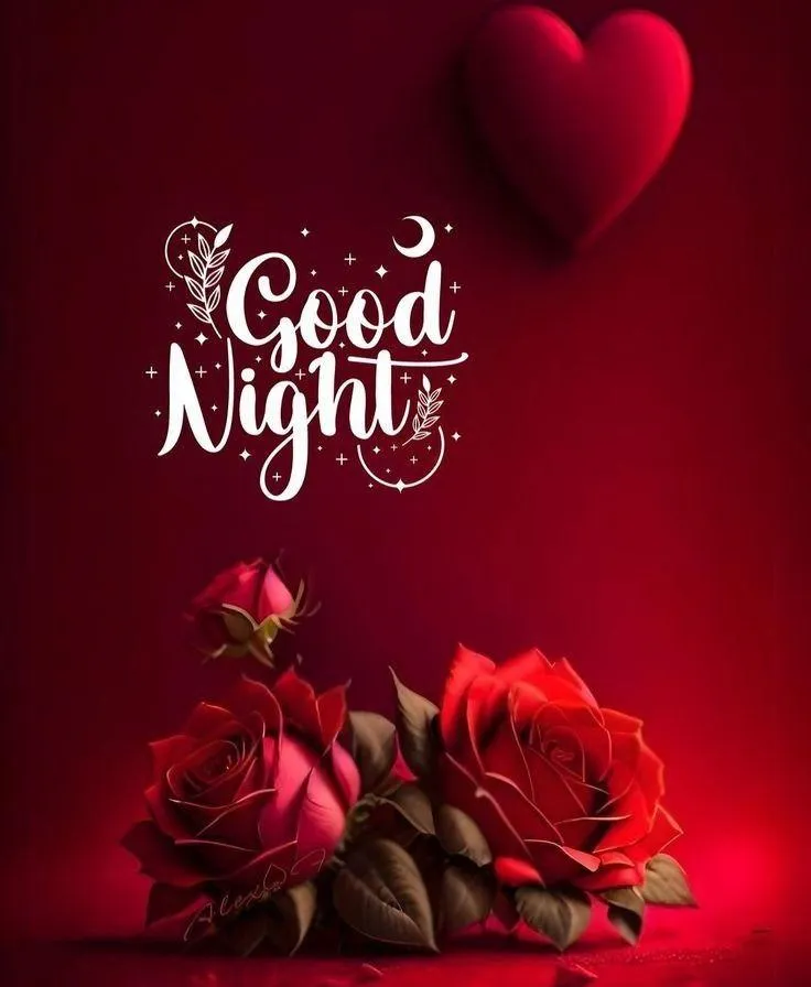 Red Rose with Good Night Message on Dark Red Background