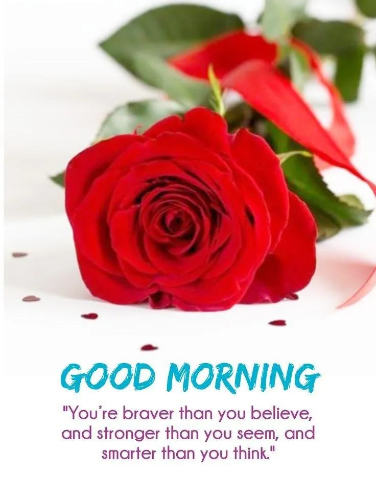 Red Rose with Morning Love Message Card Free Hd Wallpaper