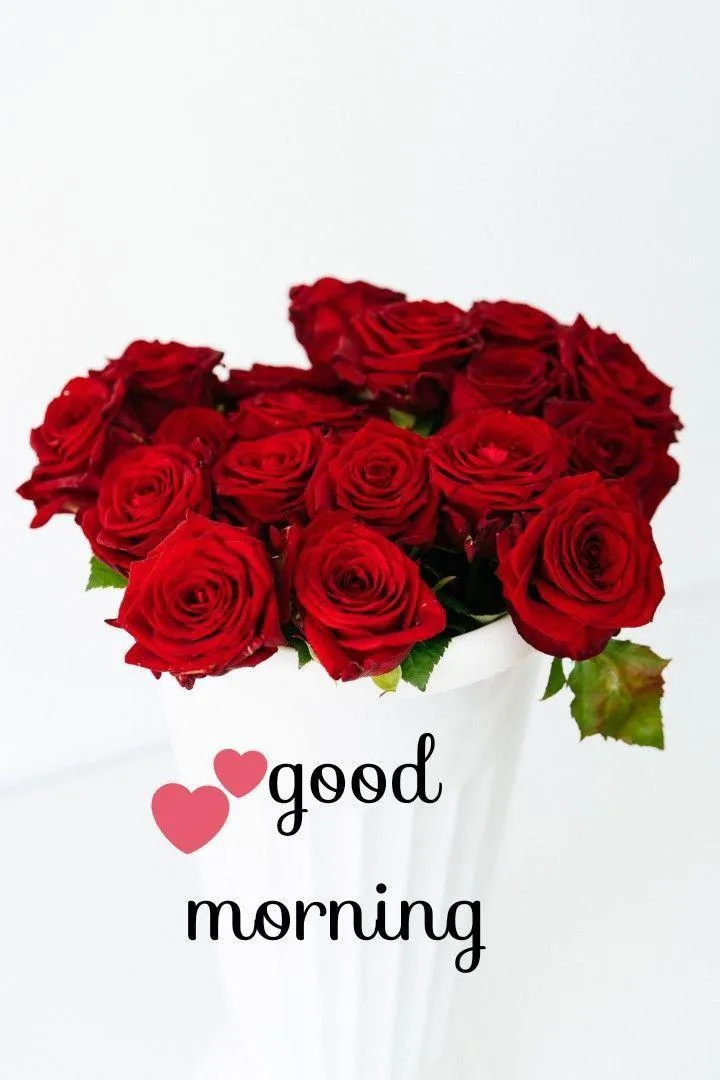Red Roses and Minimal Message to Start the Day with Love