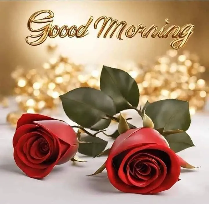 Red Roses and Warm Wishes for a Joyful Morning