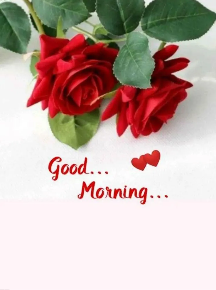 Red Roses with Simple Good Morning in Red Handwriting