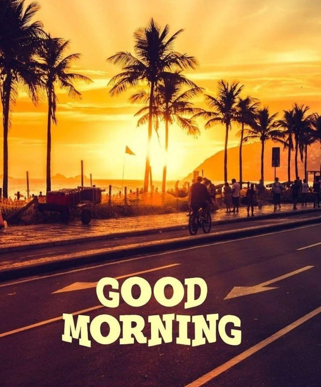 Roadside Sunrise Welcoming a Peaceful Beautiful Morning