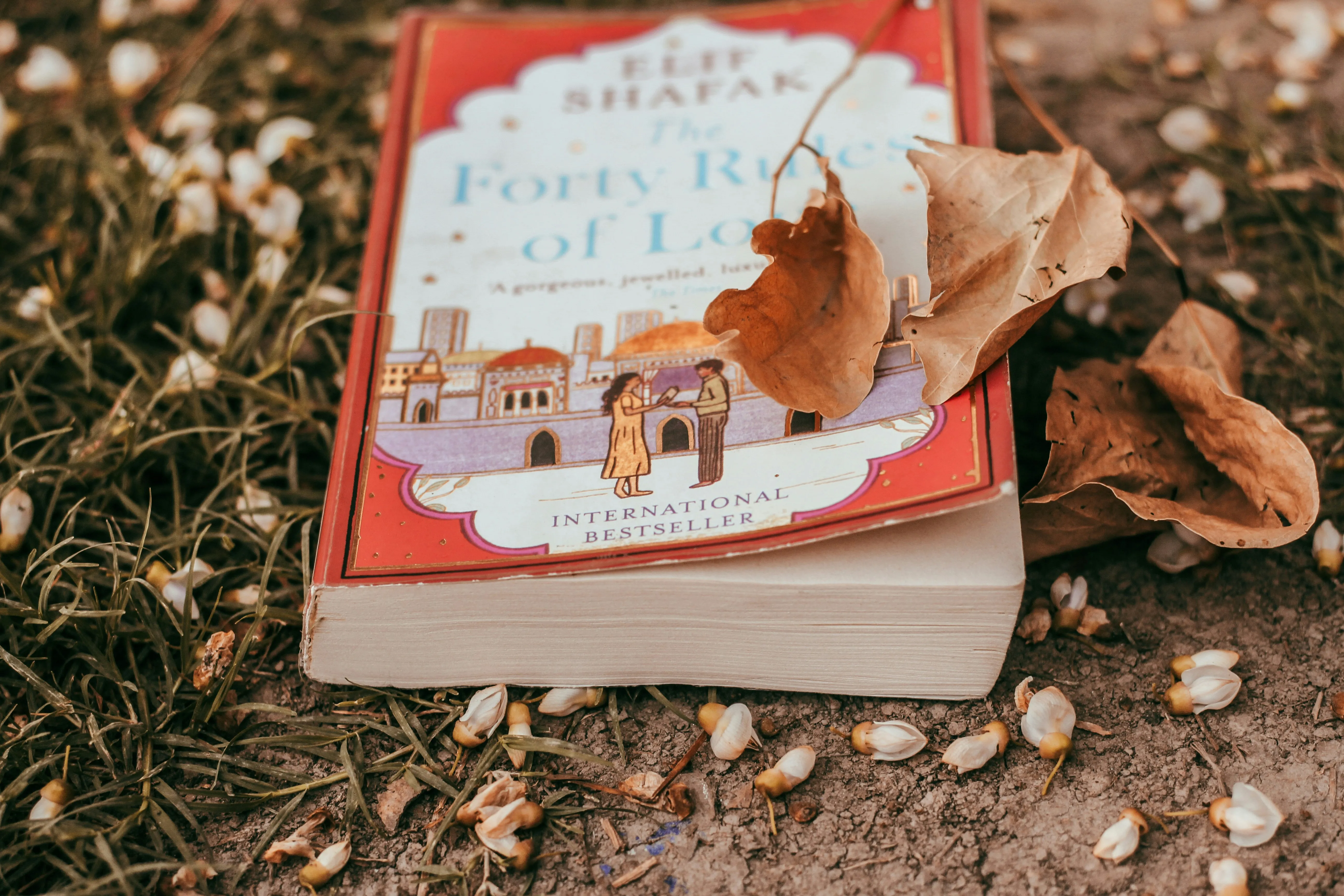 Romantic Books and Leaves Capture Autumn Memories Wallpaper