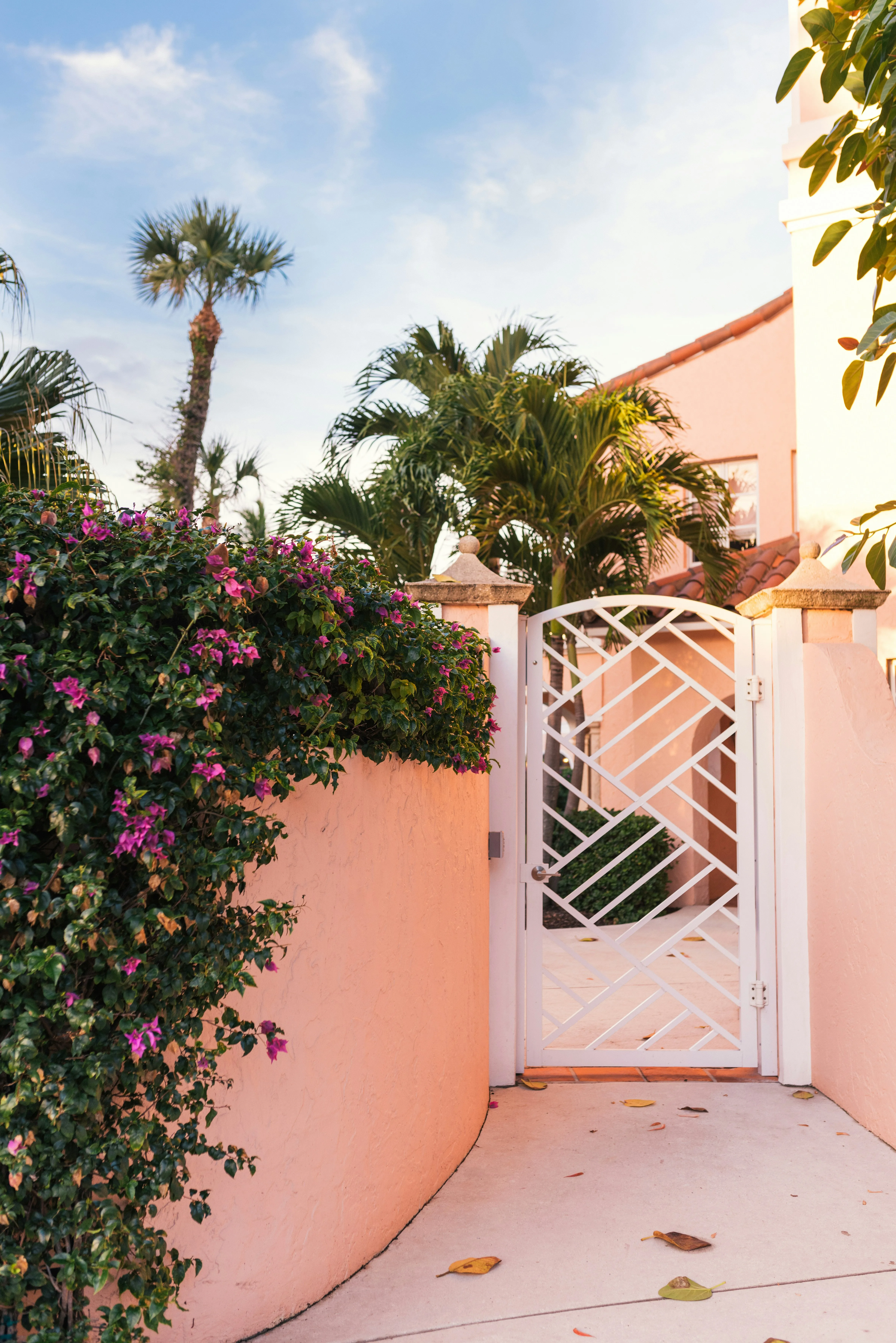 Romantic Garden Entrance Surrounded by Flowers Wallpaper