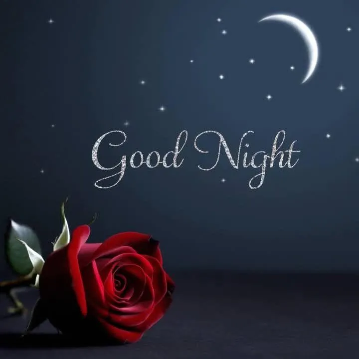 Romantic Good Night with Red Rose and Starry Sky Image