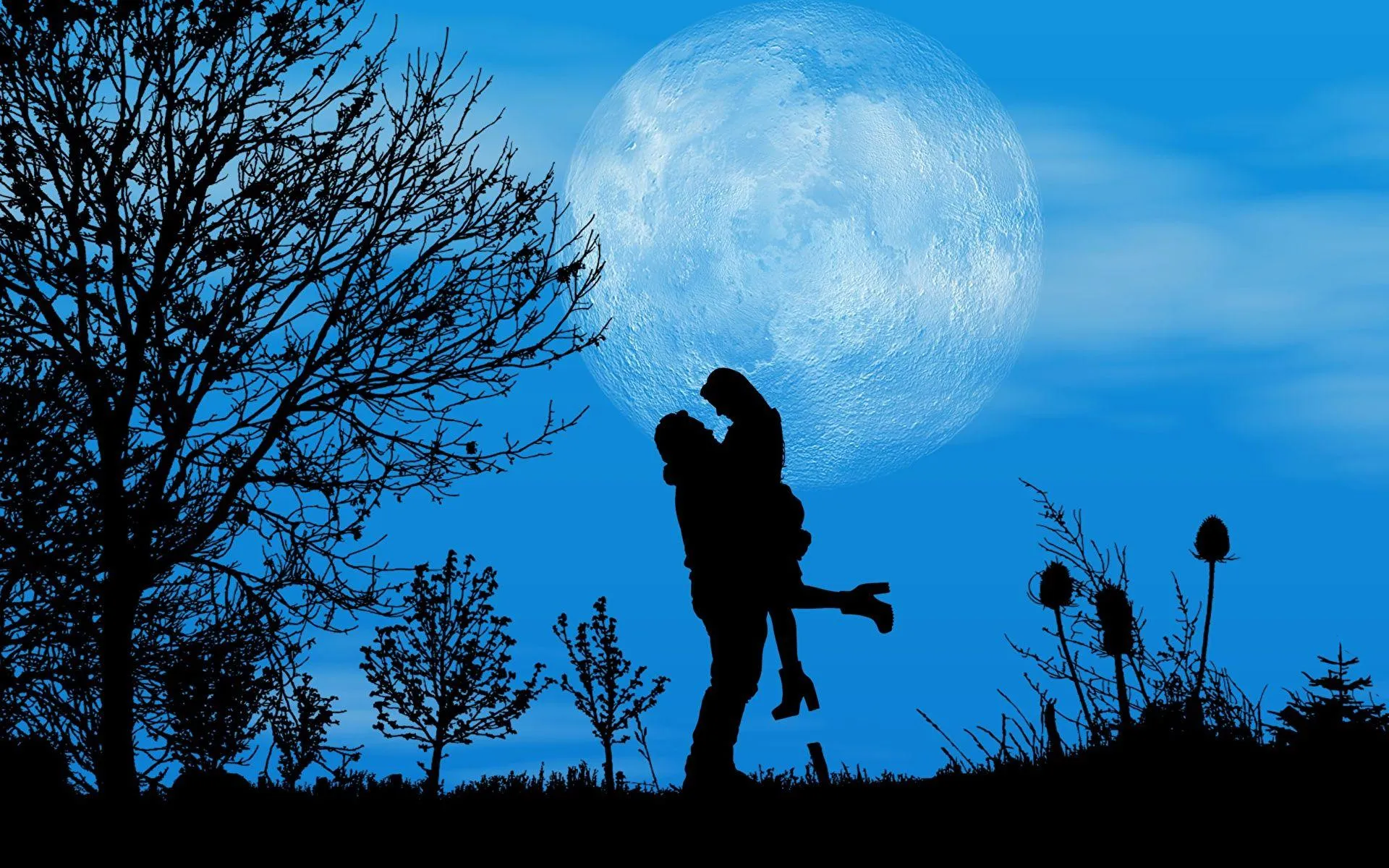 Romantic Moonlight Couple Silhouette Sharing Love Wallpaper