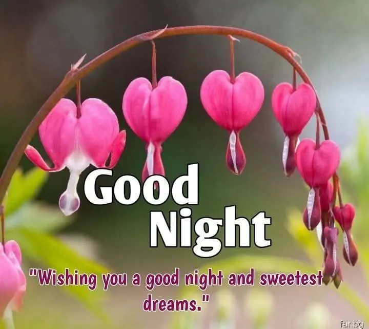 Romantic Night Message with Hanging Heart Balloons