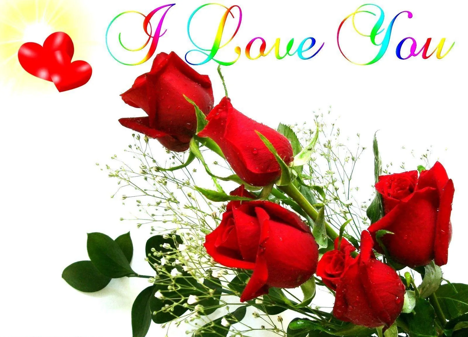 Romantic Red Roses Saying I Love You Message Wallpaper