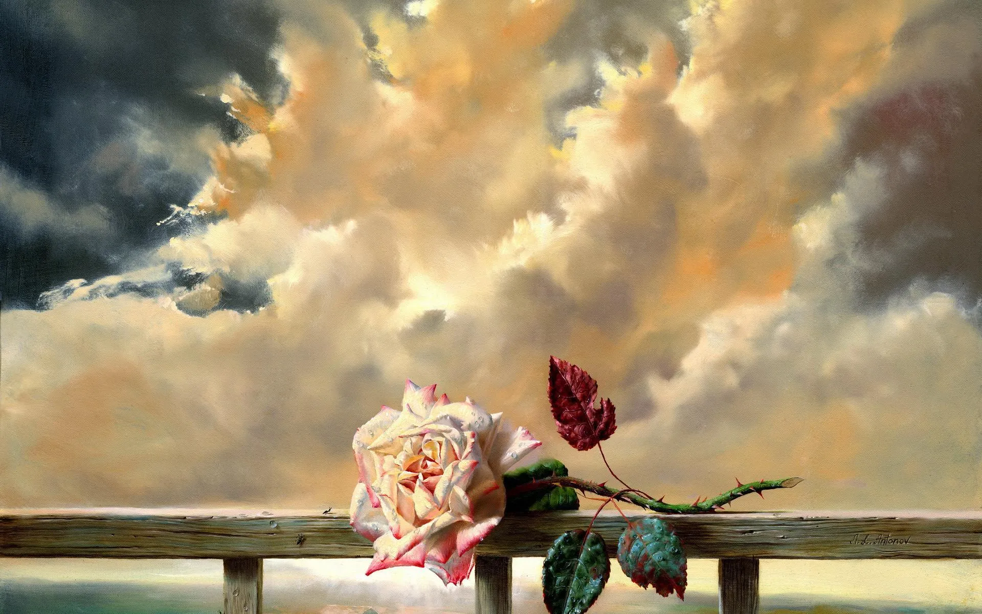 Romantic Rose Bouquet with Soft Heavenly Clouds Wallpaper