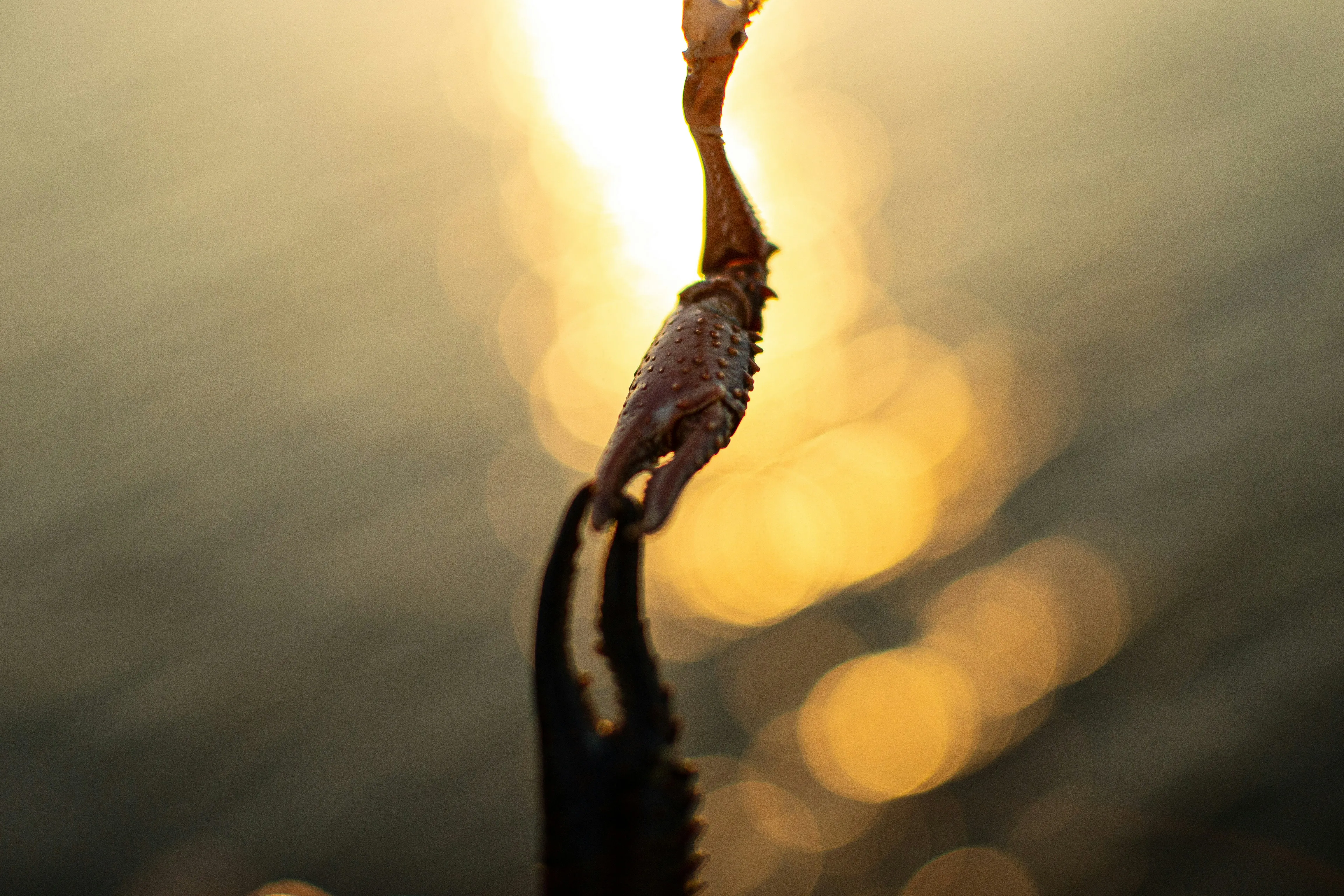 Rope Reflected in Water Showing Strength and Peace Wallpaper