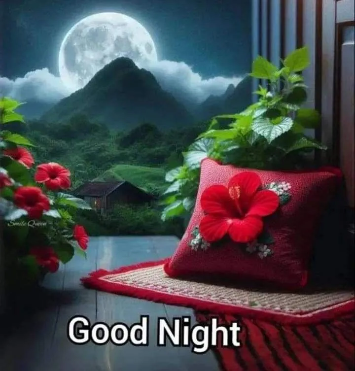 Rose and Night Sky Together Say Sweet Good Morning