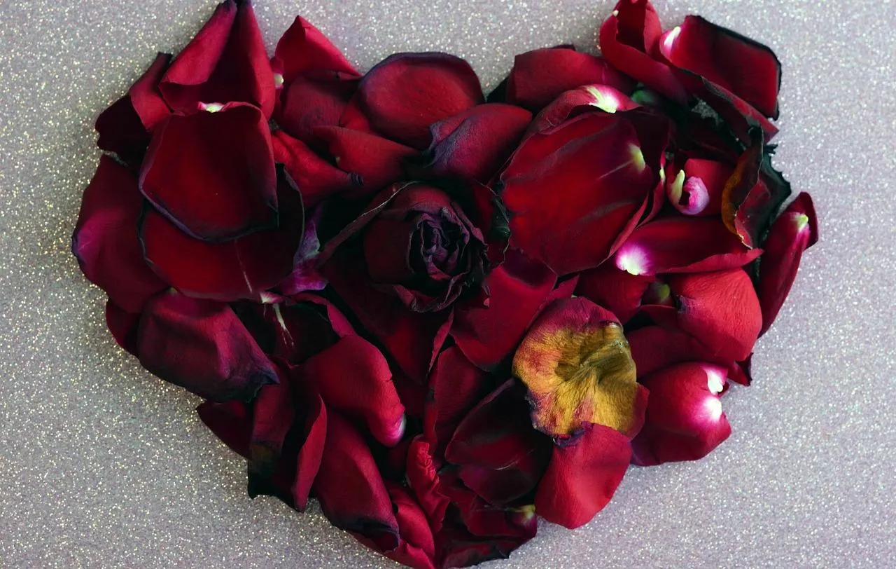Rose Petal Heart Arrangement Representing Real Passion