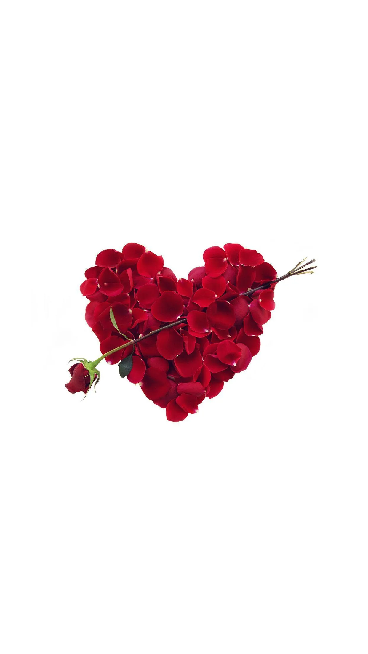 Rose Petal Heart on White Showing Pure Devotion Wallpaper