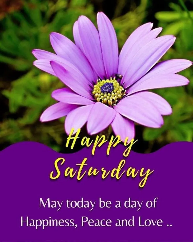 Saturday Blessings with Purple Flower and Positivity