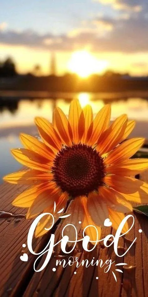 Send Good Morning Blessings Filled with Joy and Light