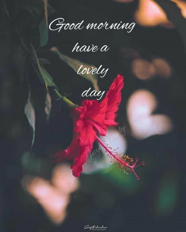 Serene Sunset Greeting to Begin a Thoughtful Morning