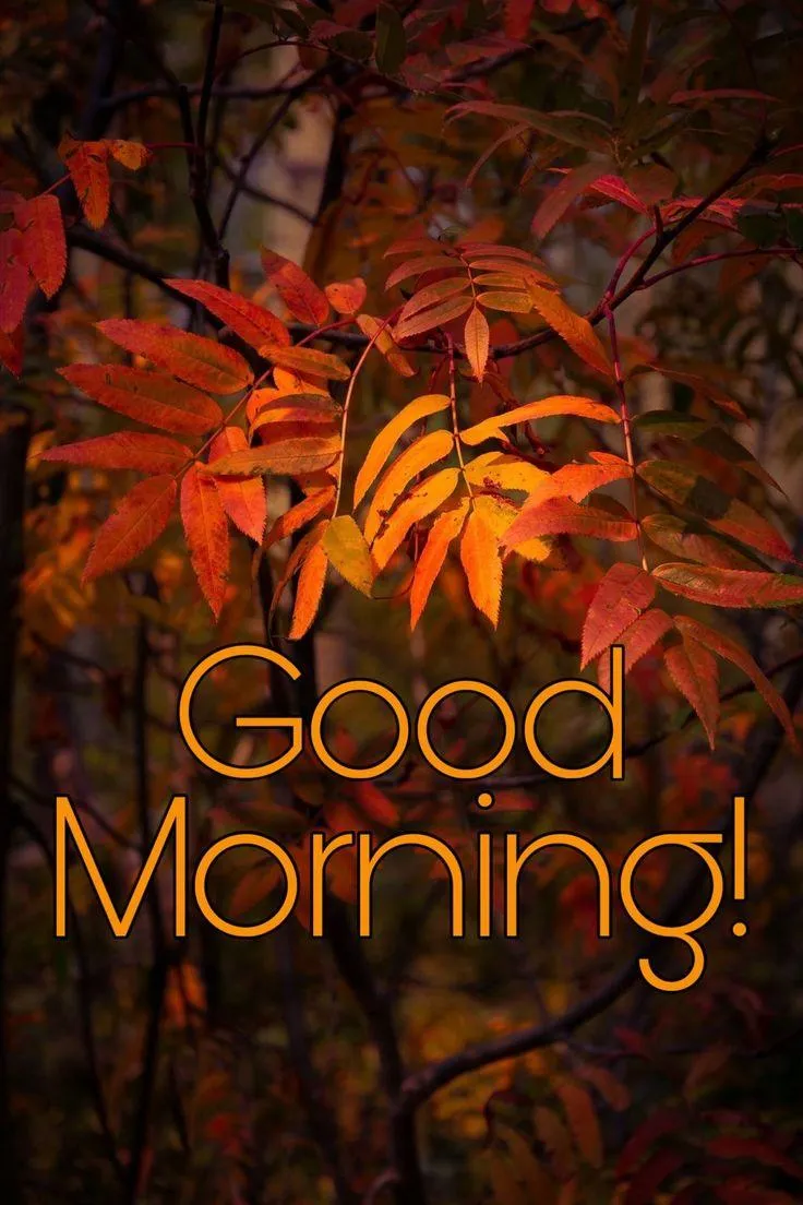 Share Warm Good Morning Wishes for a Bright Day Ahead