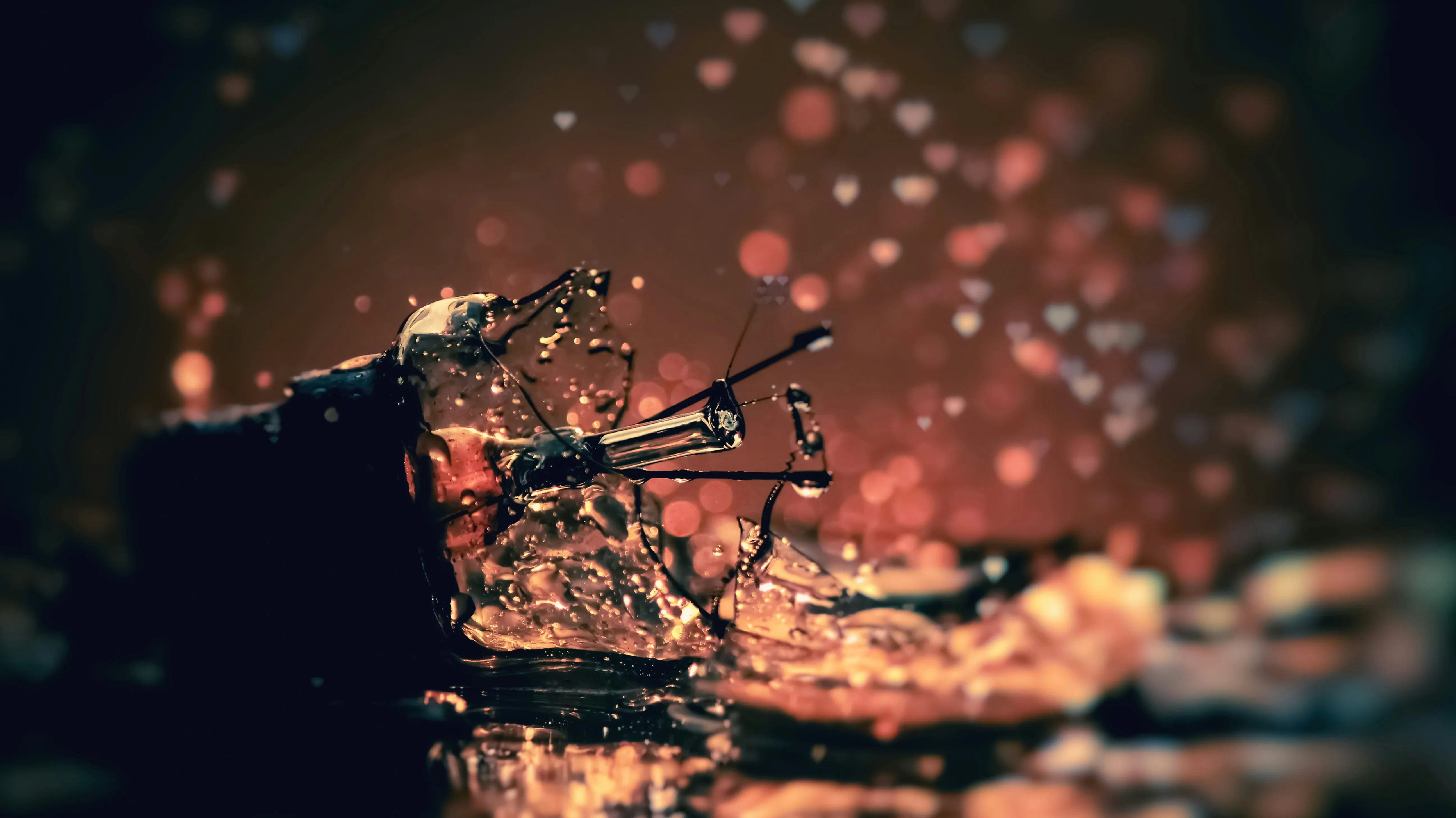 Shattered Glass Fragment with Light Reflection in Dark