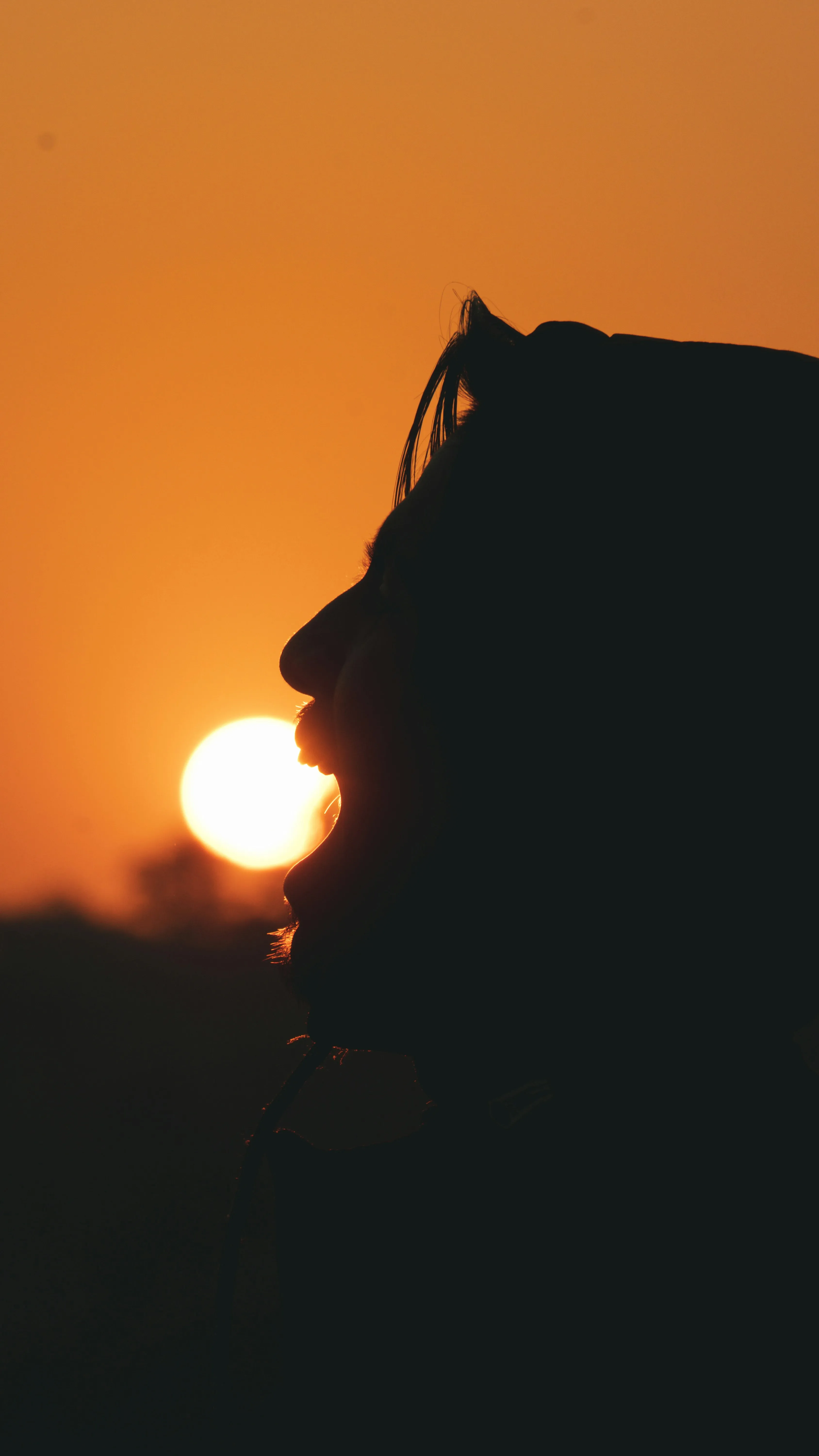 Silhouette at Sunset Reflecting Hopeful Affection Wallpaper