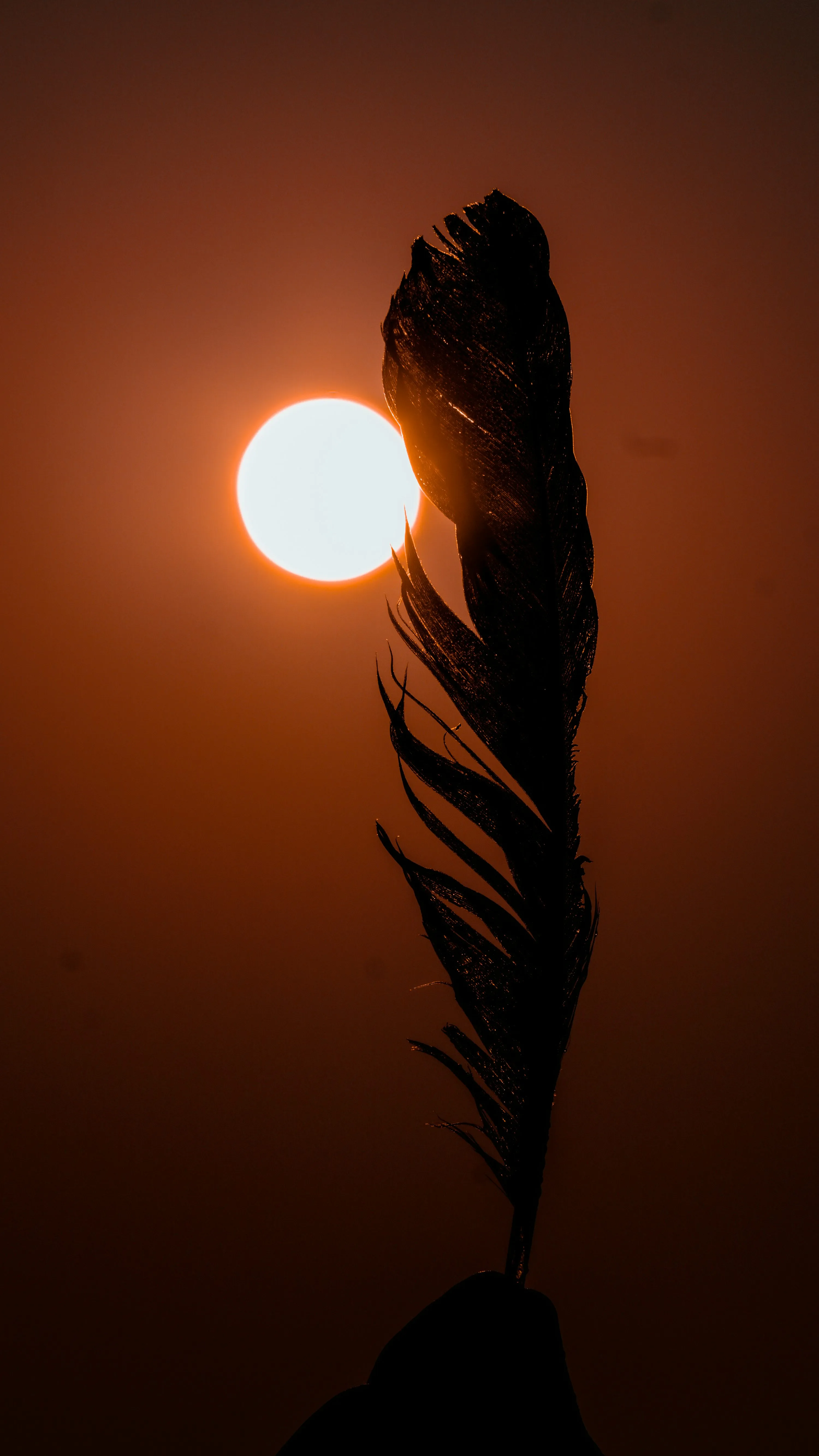 Silhouette Near Sunset Symbolizing Endless Love Wallpaper