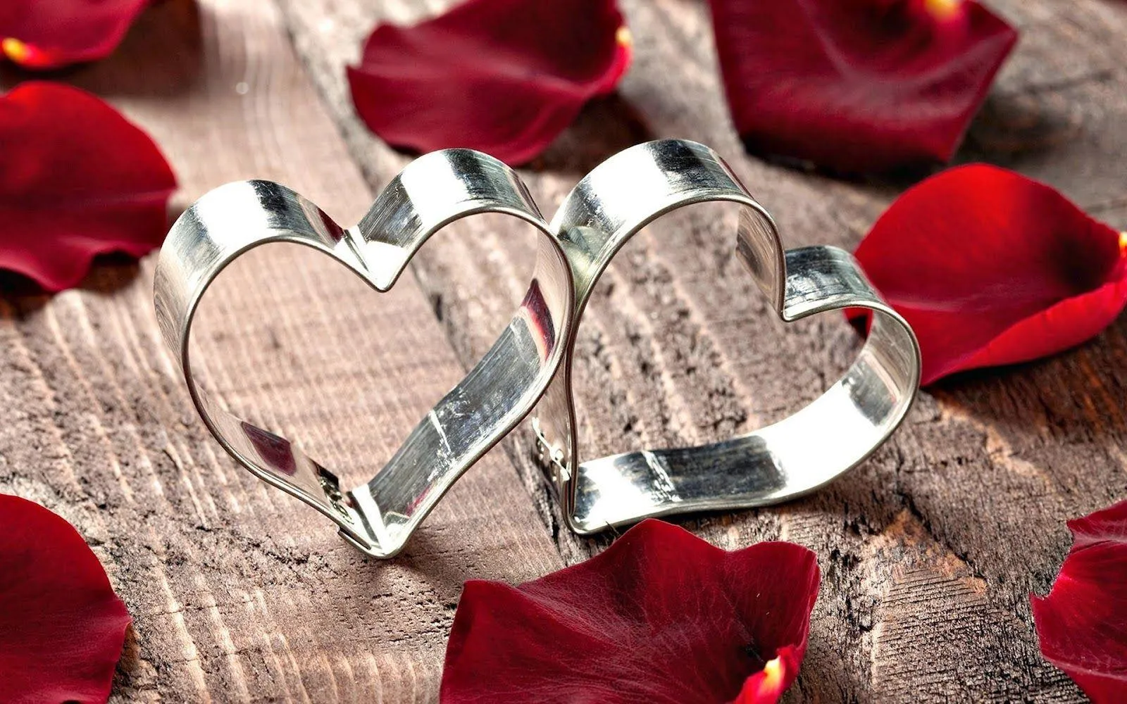 Silver Rings with Petals Represent Wedding Love Wallpaper