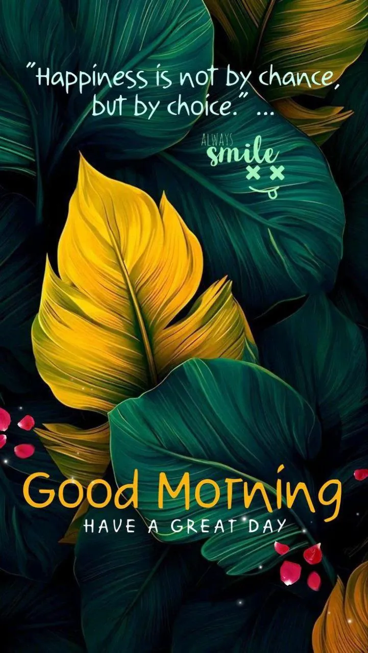 Single Leaf and Light Create Peaceful Morning Vibes