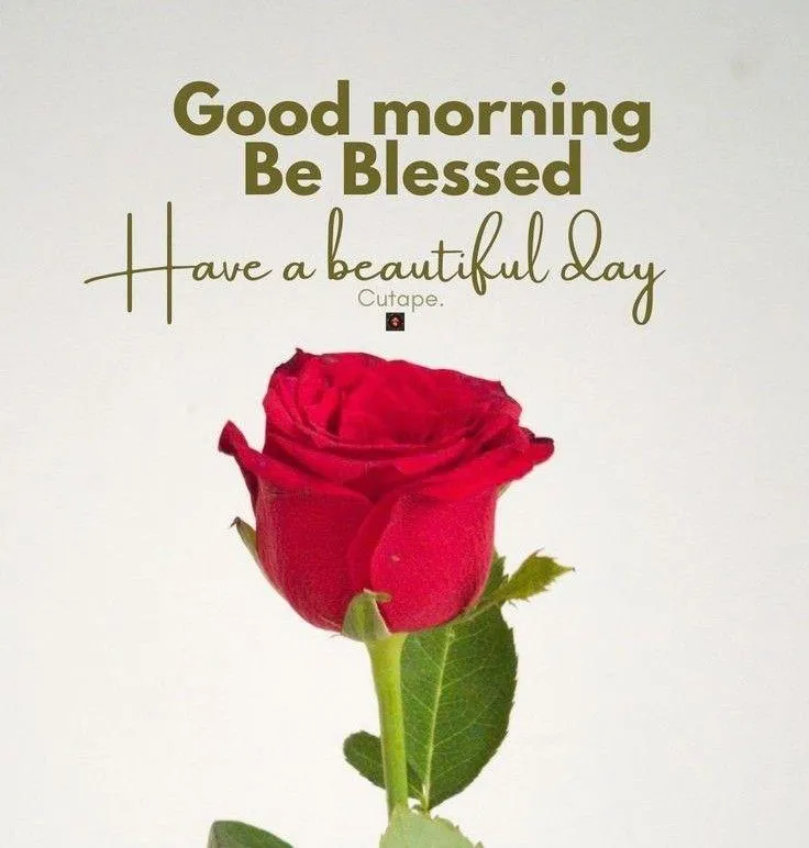 Single Red Rose with Good Morning Be Blessed Text Wallpaper