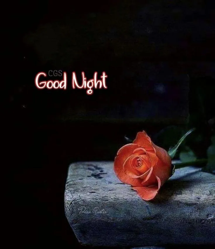 Soft Candle Glow for a Peaceful Night and Morning Image