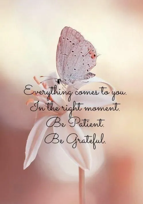 Soft Feathers on Background Give a Healing Message