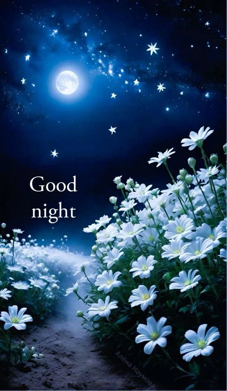 Soft Petals and Sparkles Bring a Peaceful Morning Light