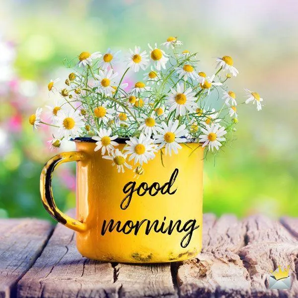 Sparkling Flowers with Bright Good Morning Greeting
