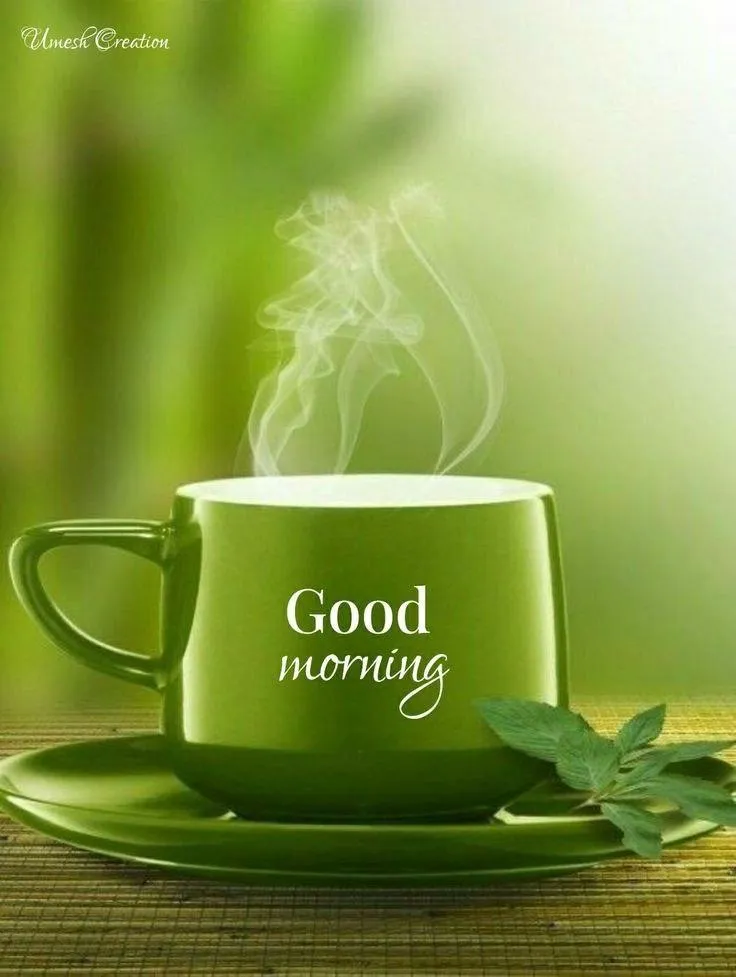 Start Your Day Fresh with Soothing Green Tea Morning