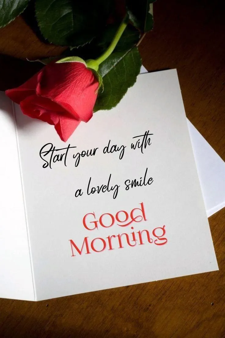 Start Your Day with the Right Mindset and Red Rose