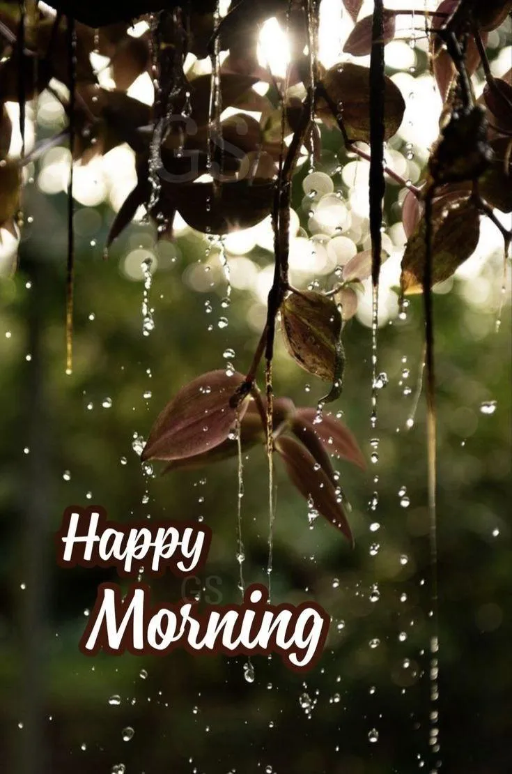Sunlight in Forest Background with Happy Morning Text