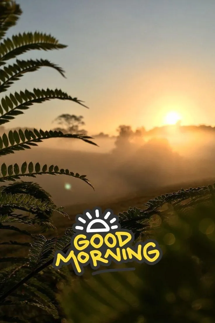 Sunrise View to Begin a Peaceful and Productive Day