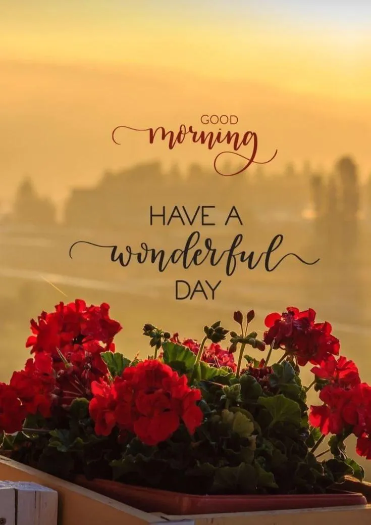 Sunrise View with Blooming Flowers and Morning Light