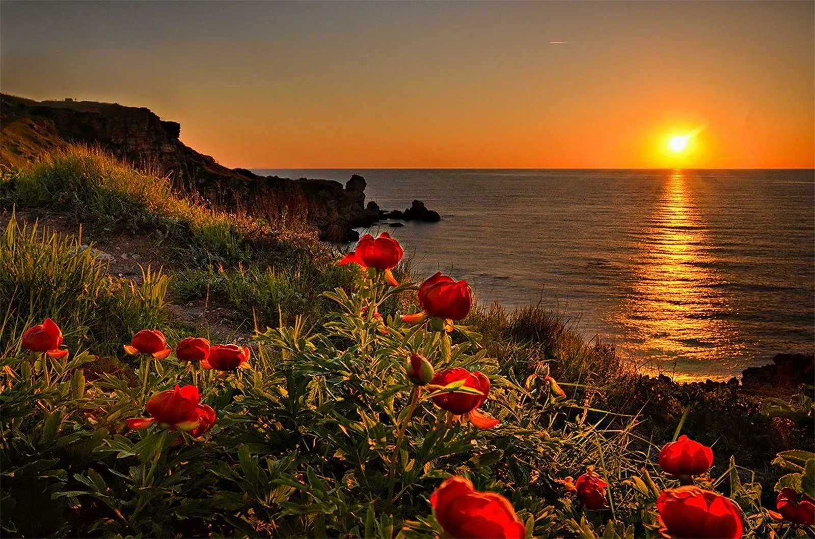 Sunset Field Showing Heartfelt Love and Peace Wallpaper