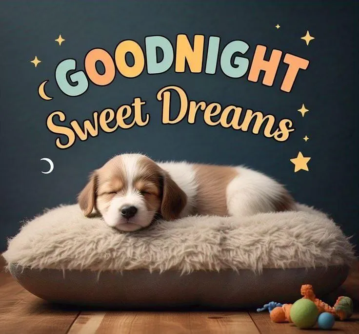 Sweet Dreams Theme with Gold Stars and Clouds Image