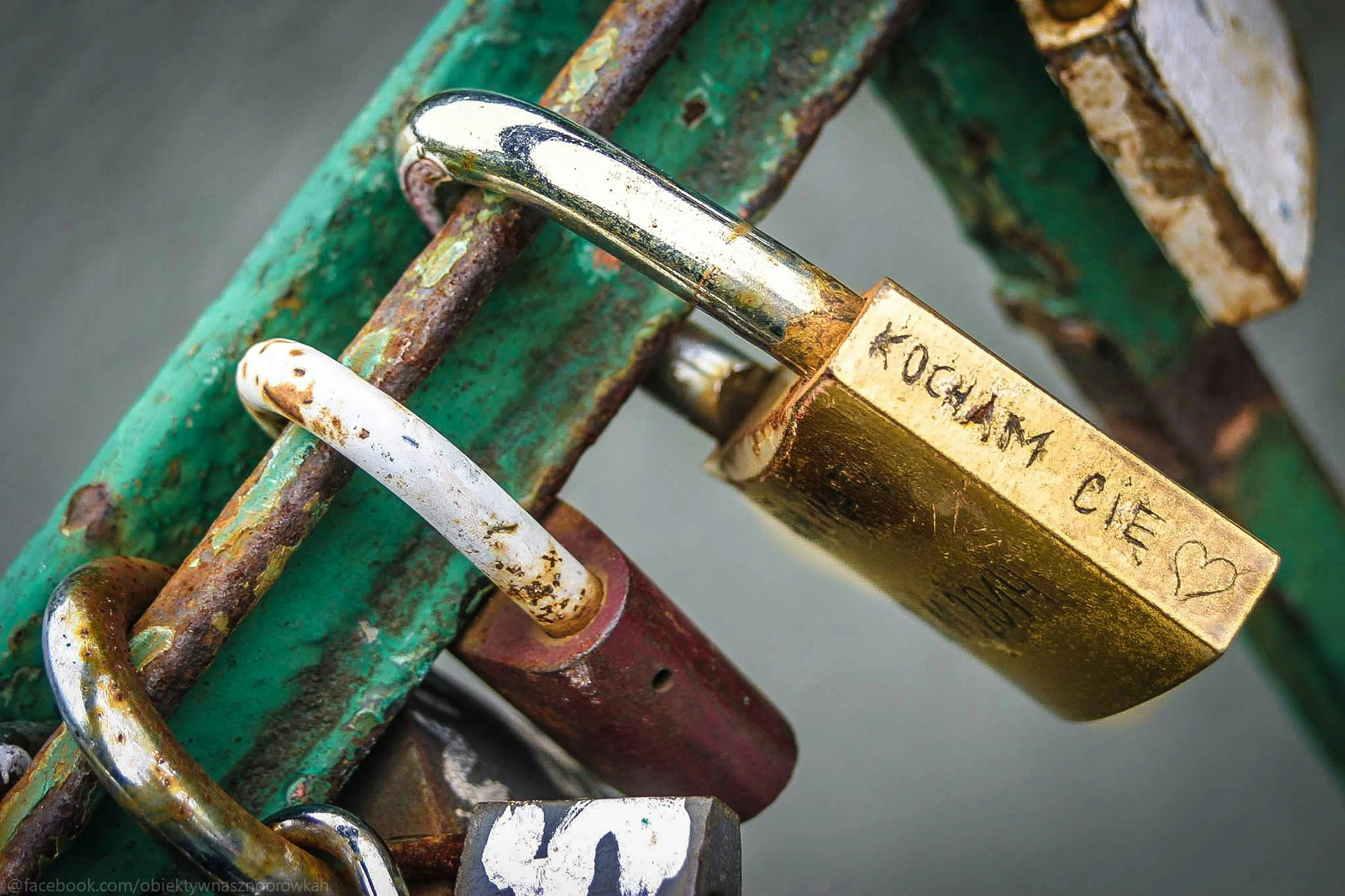Symbolic Love Locks on Bridge Express Eternal Bond