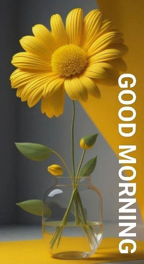 Tall Sunflower and Text Highlighting Word of God Image