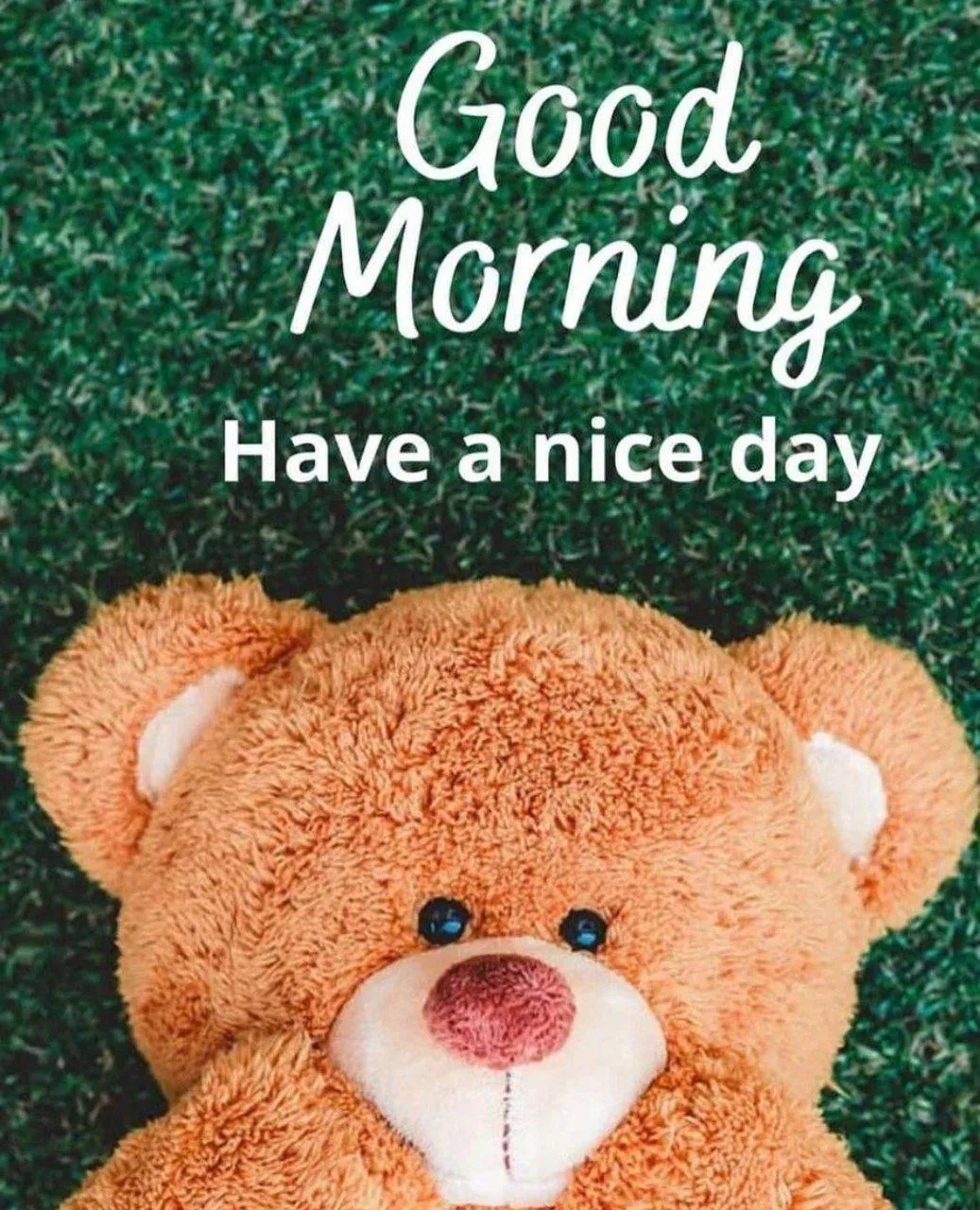 Teddy Bear Wishing You a New Day Full of Hope Image