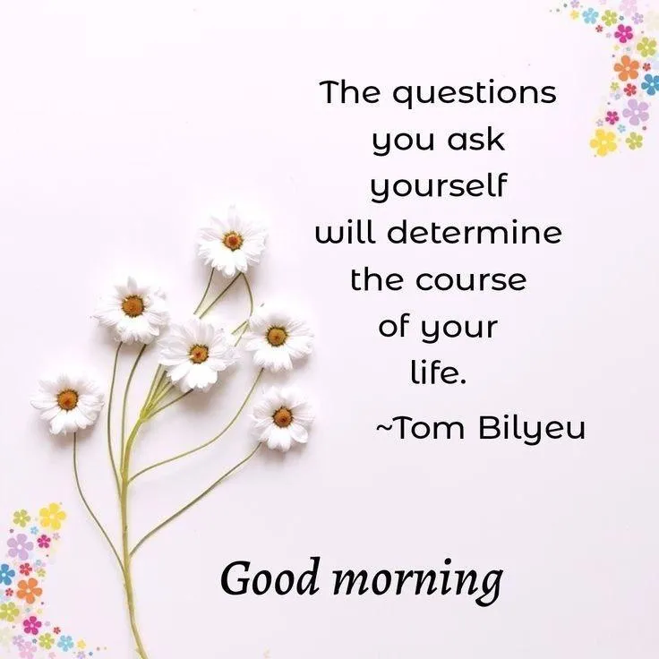 The Questions You Ask Will Determine the Course of Life