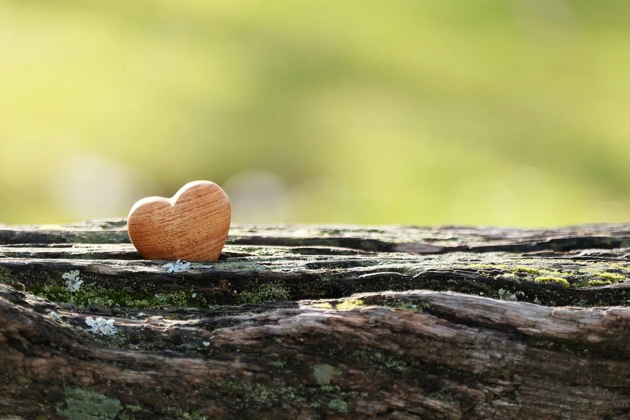 Tiny Heart on Wooden Path Reflecting Simple Love Wallpaper