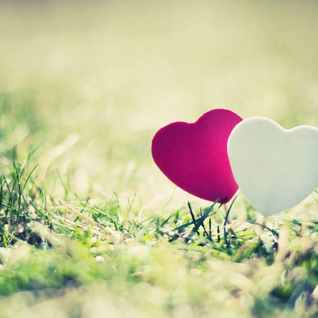 Two Hearts on Grass Symbolizing True Connection Wallpaper