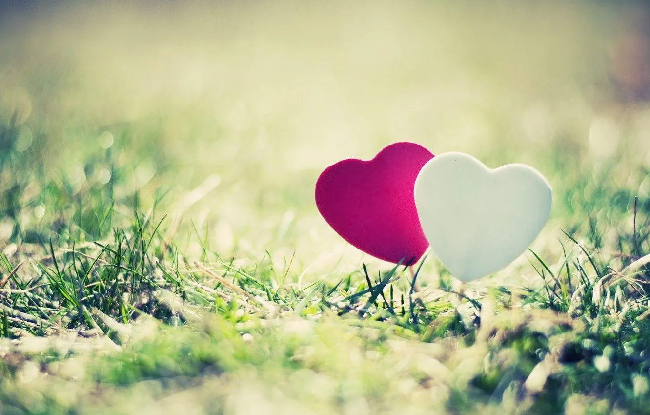 Two Small Hearts on Grass Showing Simple Romance Wallpaper