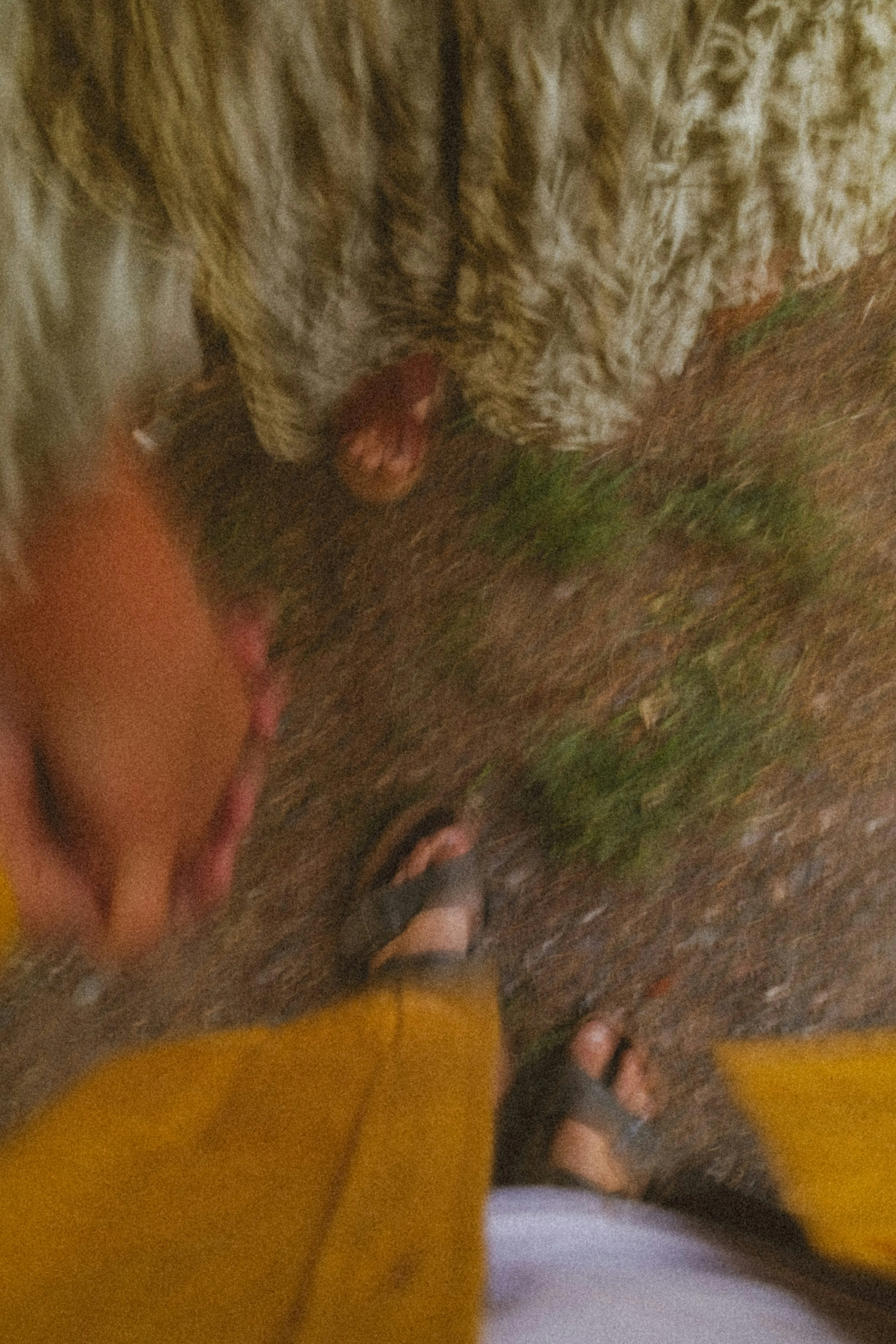 Walking Together Showing Moments of Pure Affection Wallpaper